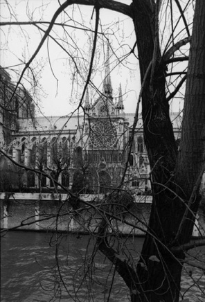 Notre-Dame from quai Montebello, 1998